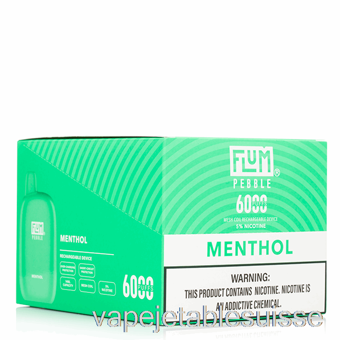 Vape Suisse [10-pack] Flum Galet 6000 Jetable